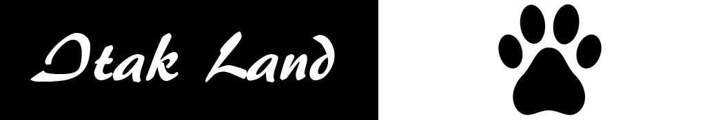 Itak Land, pension pour chien et éducation canine